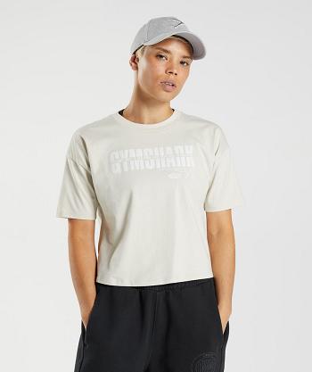 Dámské Oříznuté Topy Gymshark Gs10 Year Šedé | CZ 3752CTV